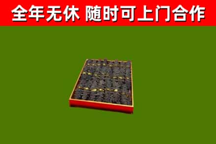 金口河区烟酒回收海参.jpg